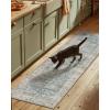 imageMachine Washable Throw Rugs for Entryway Door Mat Indoor Entrance 4x6 Rug Small Area Rug Non Slip Low Pile Soft Kitchen Rugs for Front Door Indoor Entrance Entry Kids RoomLight Blue