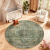 imageMachine Washable Throw Rugs for Entryway Door Mat Indoor Entrance 4x6 Rug Small Area Rug Non Slip Low Pile Soft Kitchen Rugs for Front Door Indoor Entrance Entry Kids RoomBlack and Green