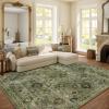 imageMachine Washable Throw Rugs for Entryway Door Mat Indoor Entrance 4x6 Rug Small Area Rug Non Slip Low Pile Soft Kitchen Rugs for Front Door Indoor Entrance Entry Kids RoomGreen and Beige