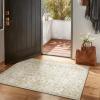 imageMachine Washable Throw Rugs for Entryway Door Mat Indoor Entrance 4x6 Rug Small Area Rug Non Slip Low Pile Soft Kitchen Rugs for Front Door Indoor Entrance Entry Kids RoomBeige and Brown