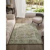 image:image2x3 Washable Small Rug for Entryway Door Mat Indoor Entrance Stain Resistant Non Slip Rubber Backed Low Pile Soft Throw Area Rugs for Bedroom Kitchen Front Door Indoor Entrance Foyer EntryGreen