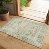 image:image2x3 Washable Small Rug for Entryway Door Mat Indoor Entrance Stain Resistant Non Slip Rubber Backed Low Pile Soft Throw Area Rugs for Bedroom Kitchen Front Door Indoor Entrance Foyer EntryGreen