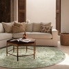image:image2x3 Washable Small Rug for Entryway Door Mat Indoor Entrance Stain Resistant Non Slip Rubber Backed Low Pile Soft Throw Area Rugs for Bedroom Kitchen Front Door Indoor Entrance Foyer EntryGreen