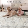 image:image2x3 Washable Small Rug for Entryway Door Mat Indoor Entrance Stain Resistant Non Slip Rubber Backed Low Pile Soft Throw Area Rugs for Bedroom Kitchen Front Door Indoor Entrance Foyer EntryBeige White and Black