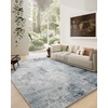 image:image2x3 Washable Small Rug for Entryway Door Mat Indoor Entrance Stain Resistant Non Slip Rubber Backed Low Pile Soft Throw Area Rugs for Bedroom Kitchen Front Door Indoor Entrance Foyer EntryBlue and Gray